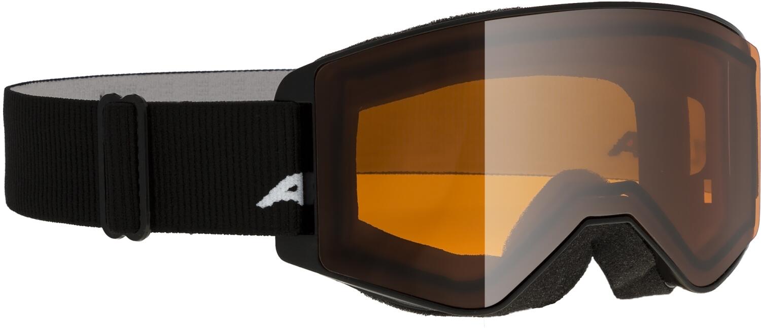 Alpina Narkoja DH Skibrille (131 black, Scheibe: DOUBLEFLEX (S2))